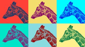 , Saiba das melhores práticas de Design Gráfico para 2018