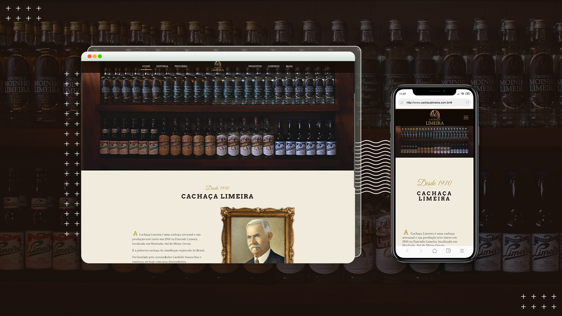 , Portf&oacute;lio – Web