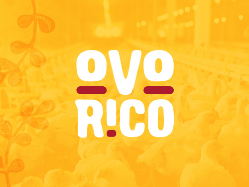 , Portf&oacute;lio – Identidade