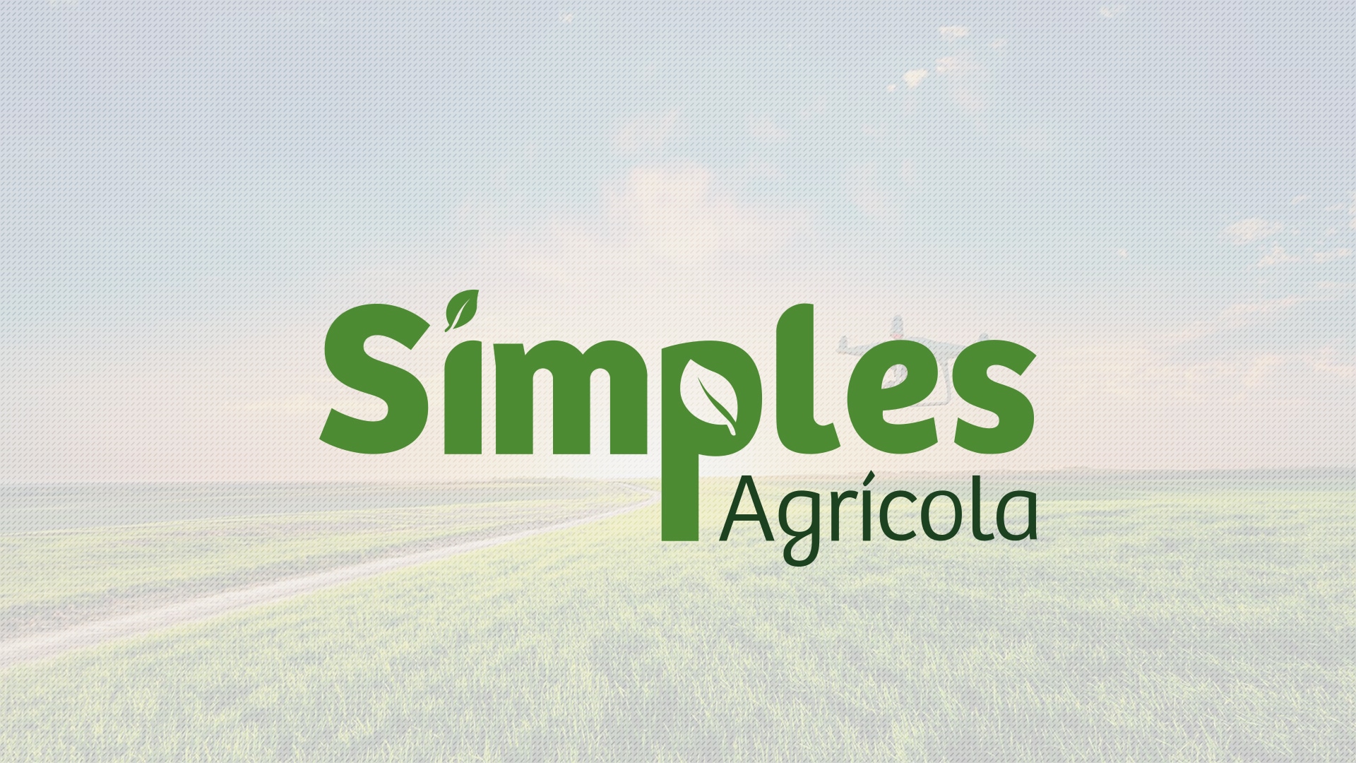 , Portf&oacute;lio – Identidade