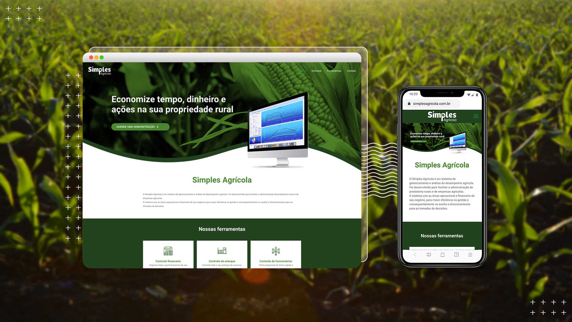 , Portf&oacute;lio – Web