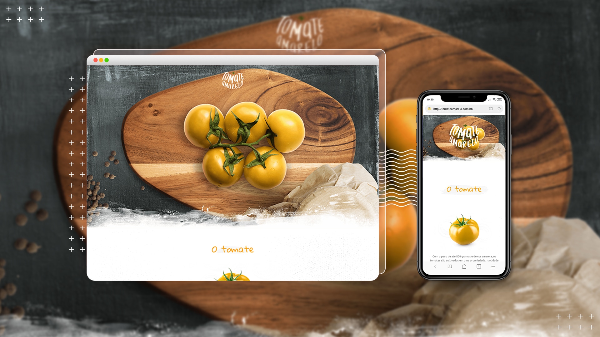 , Portf&oacute;lio – Web
